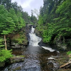 Meet your Posher, Salvador